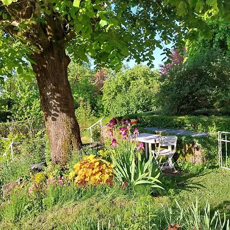 Semesterbostad In Auvergne Near Puy Mary