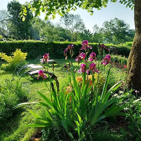 In Auvergne Near Puy Mary