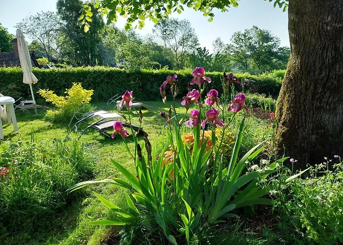 In Auvergne Near Puy Mary